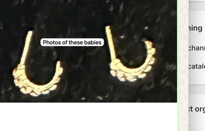 earrings